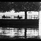 Stäfa lago di Zürich