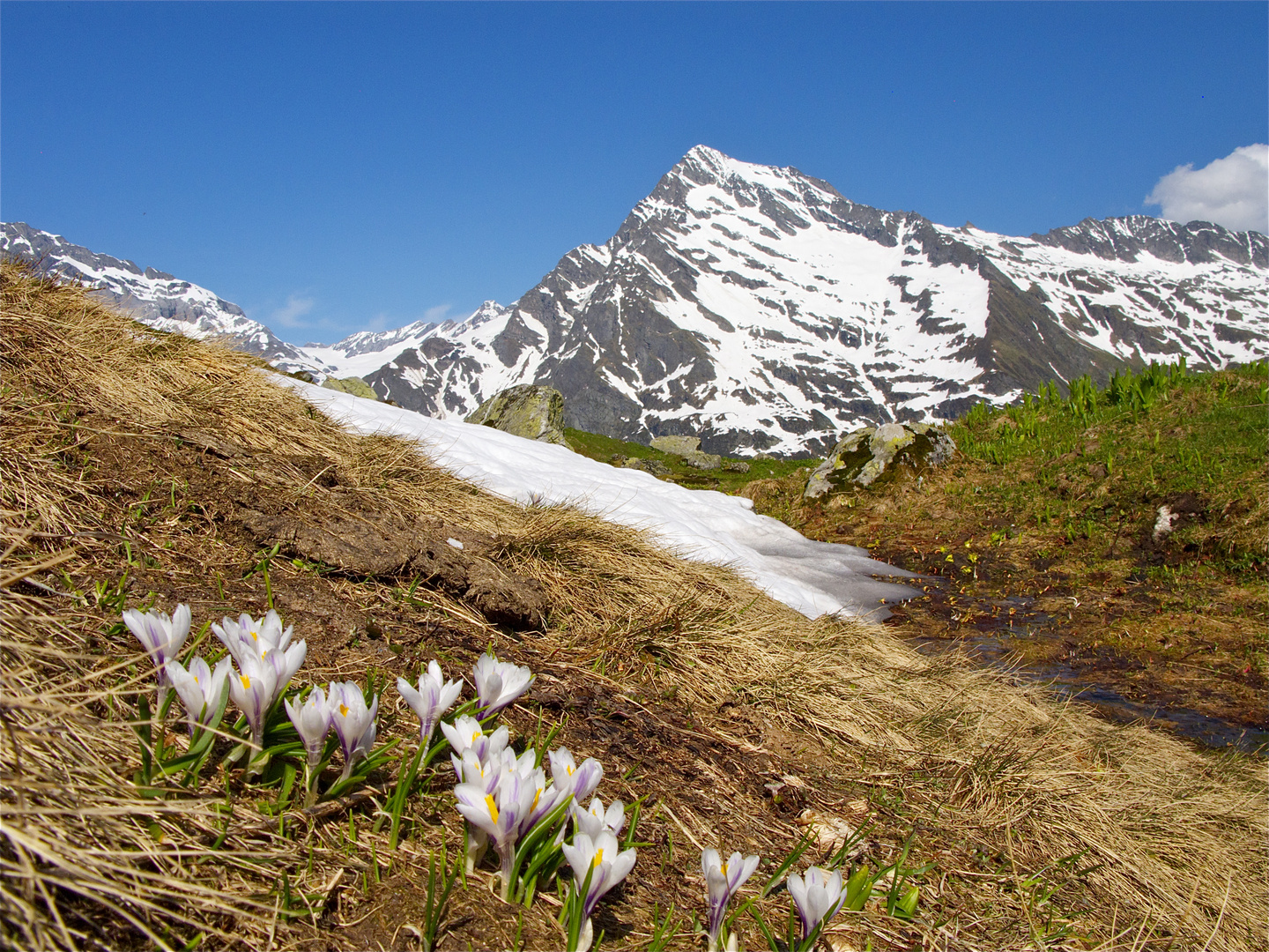 Stäfelalp mit Düssi