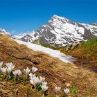 Stäfelalp mit Düssi