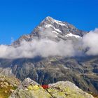 Stäfelalp mit Düssi , Maderanertal