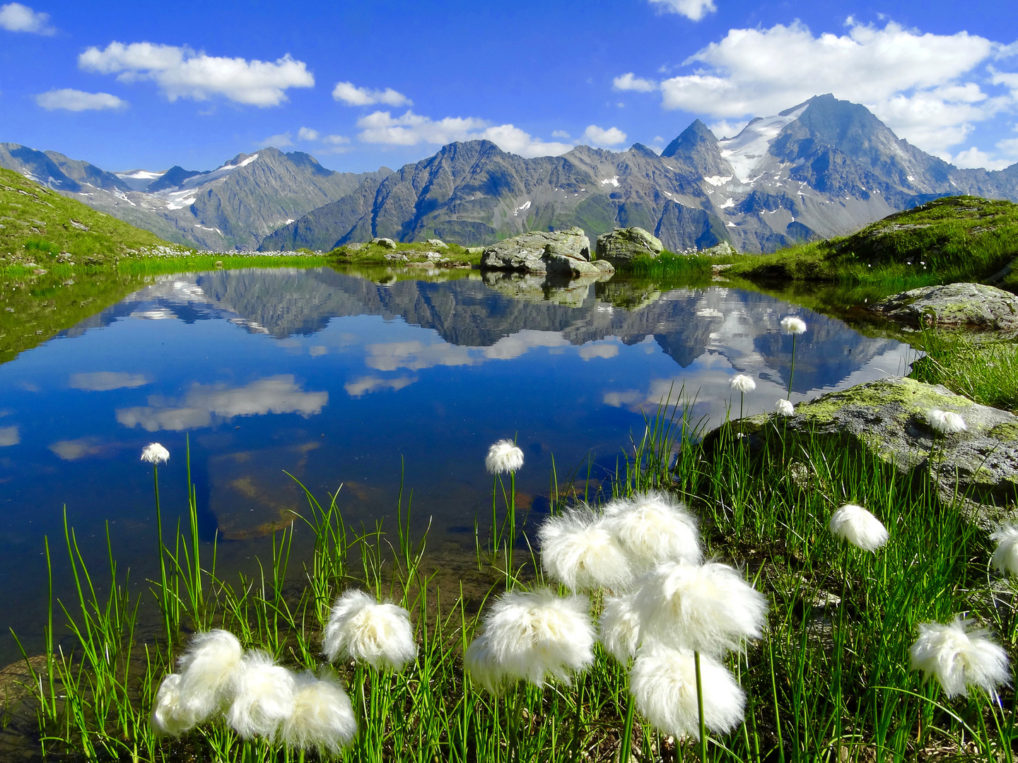 Stäfelalp , Windgällenhütte