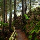 Stäfeli , Maderanertal