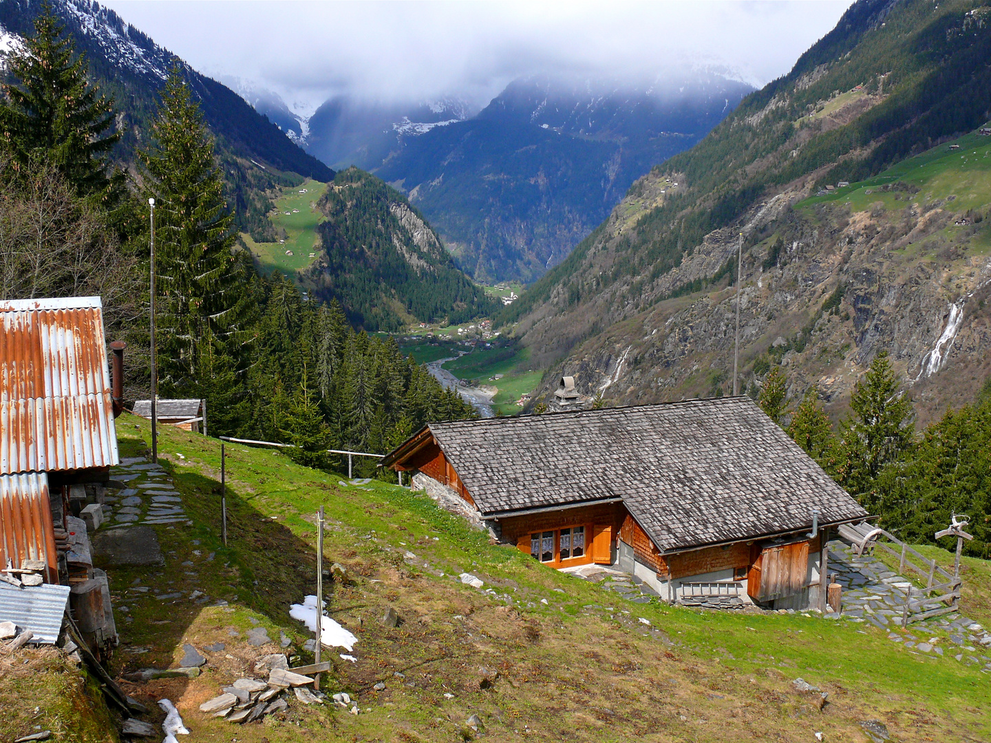 Stäfelialp, Bristen. im Frühling