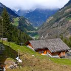 Stäfelialp, Bristen. im Frühling