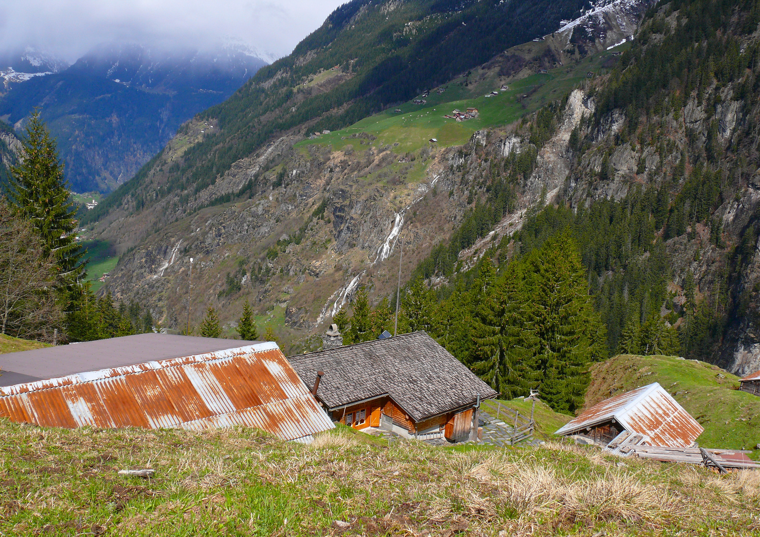 Stäfelialp, Bristen.Uri