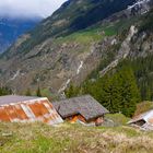 Stäfelialp, Bristen.Uri