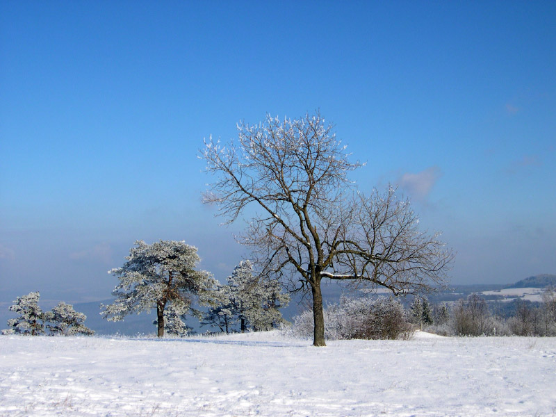 Staffelberg 2