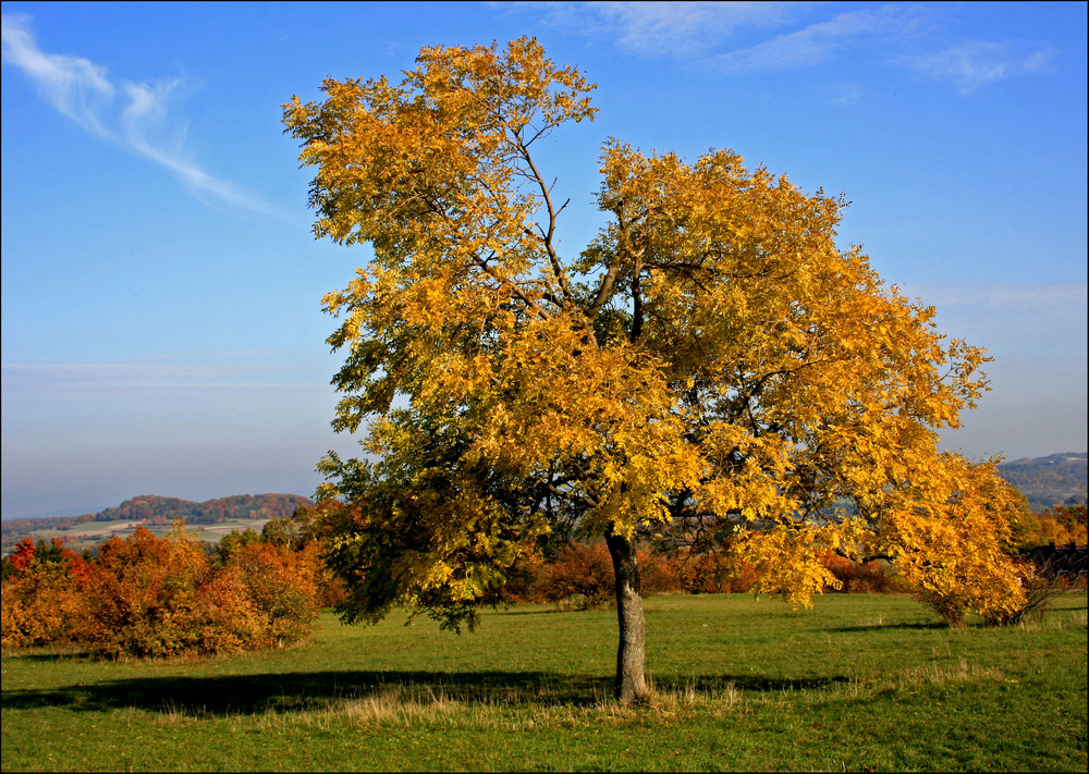 Staffelberg