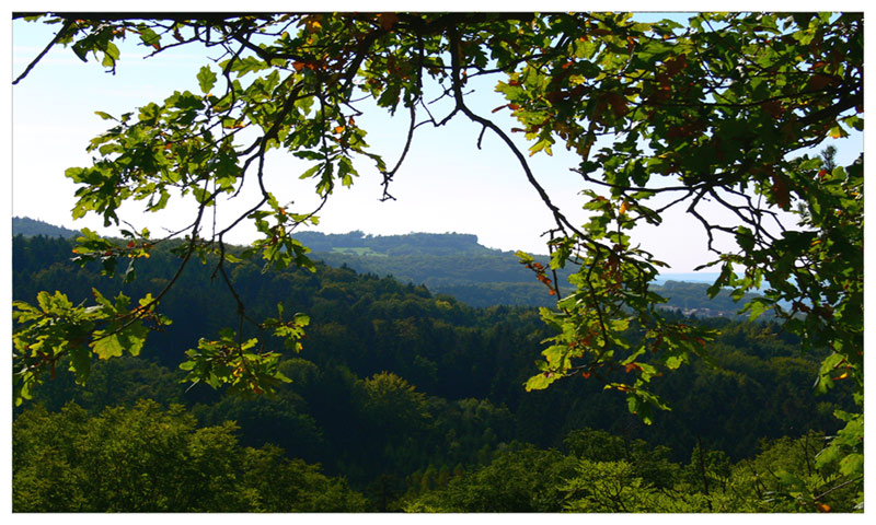 [staffelberg]