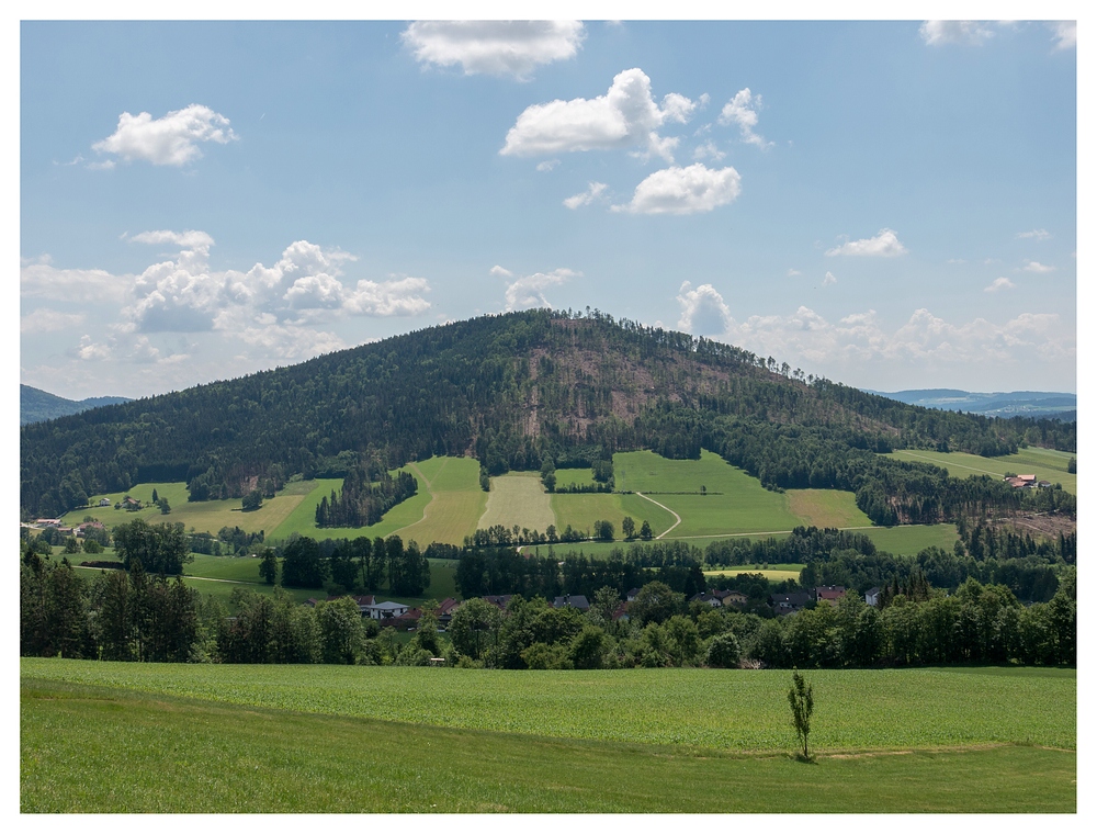 Staffelberg halb & halb