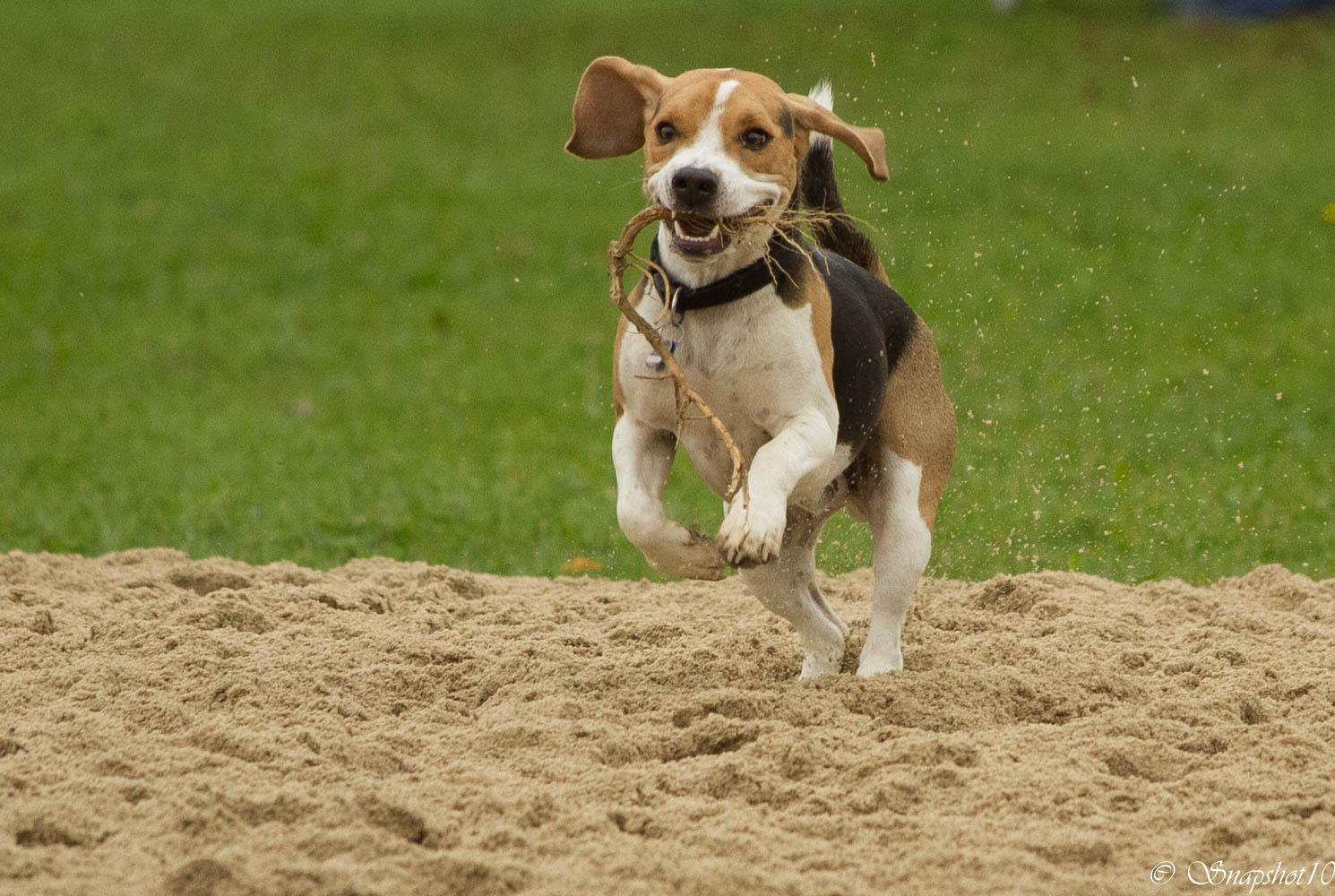 Staffellauf