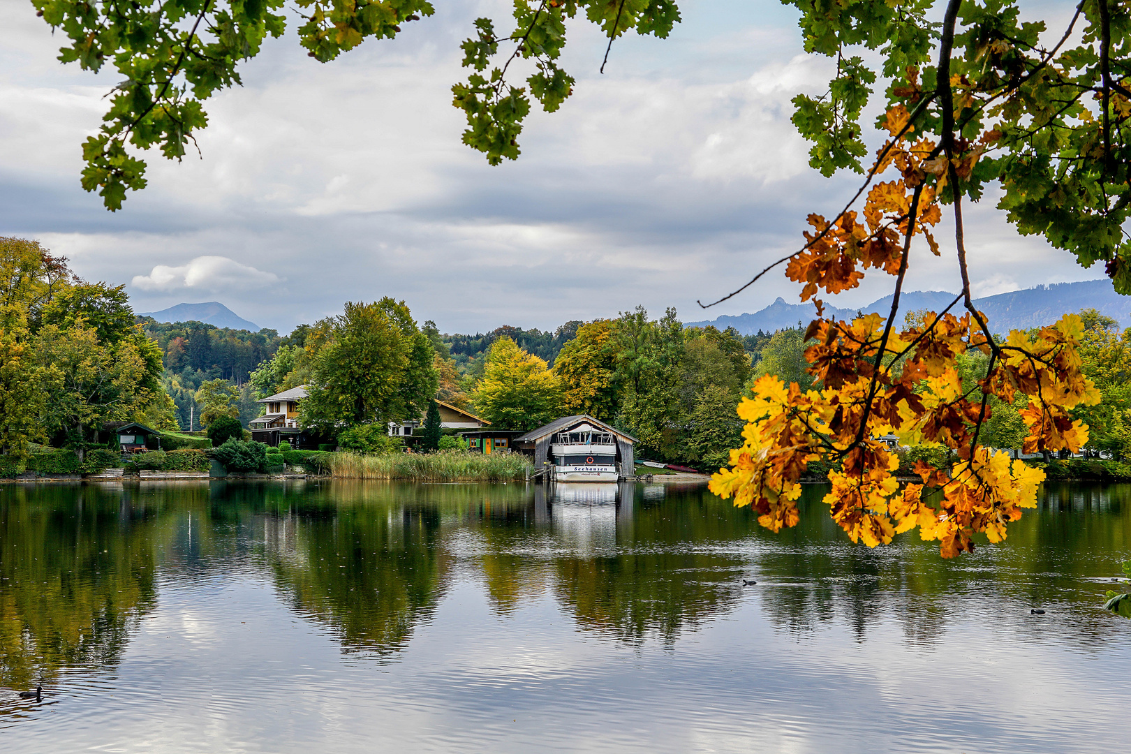 Staffelsee (1)