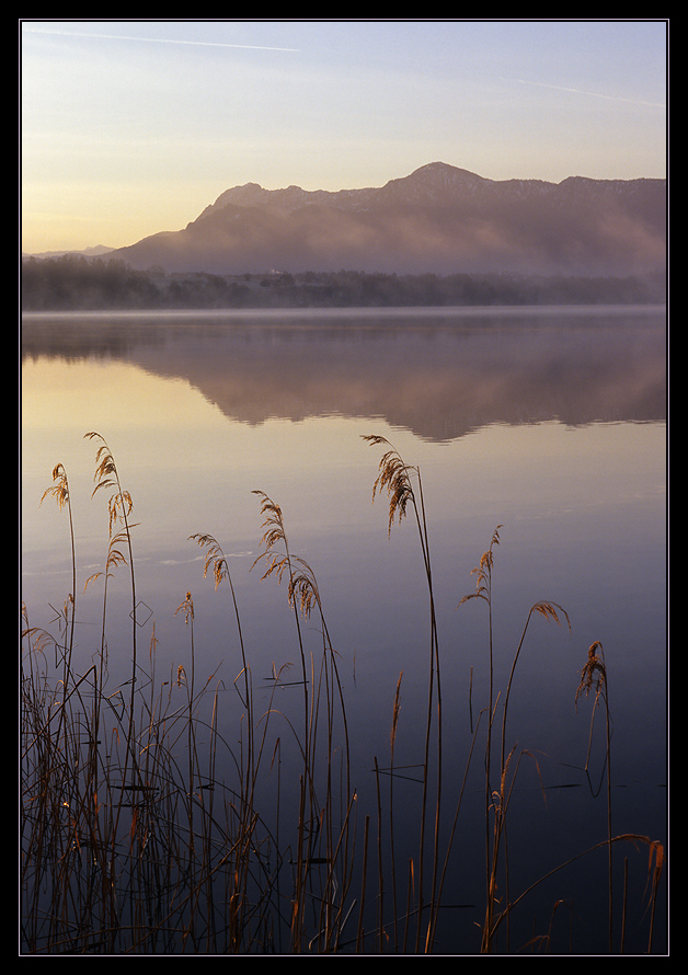 Staffelsee