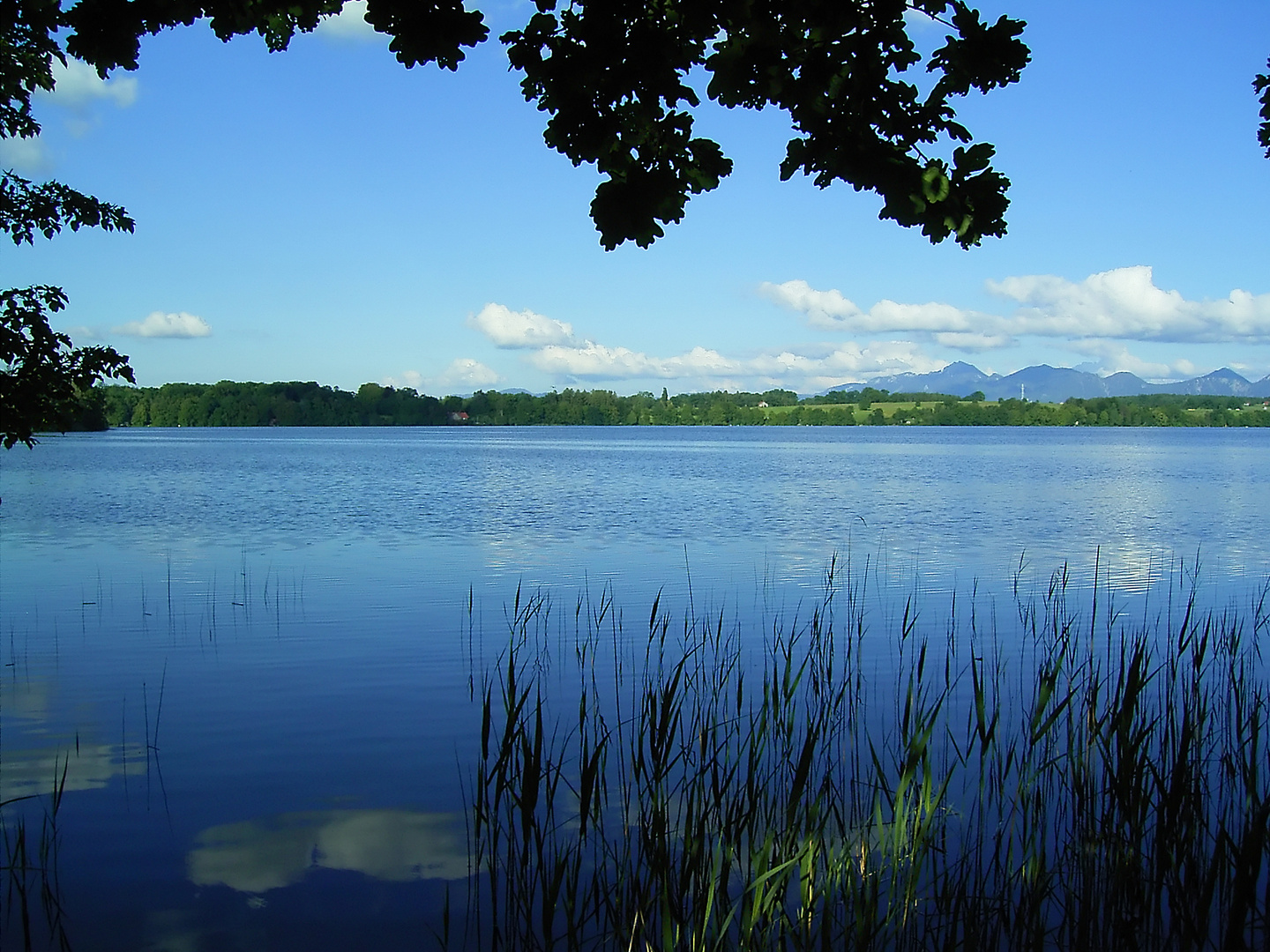 Staffelsee (Bayern)