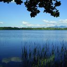 Staffelsee (Bayern)