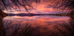 ~ STAFFELSEE GLORY ~