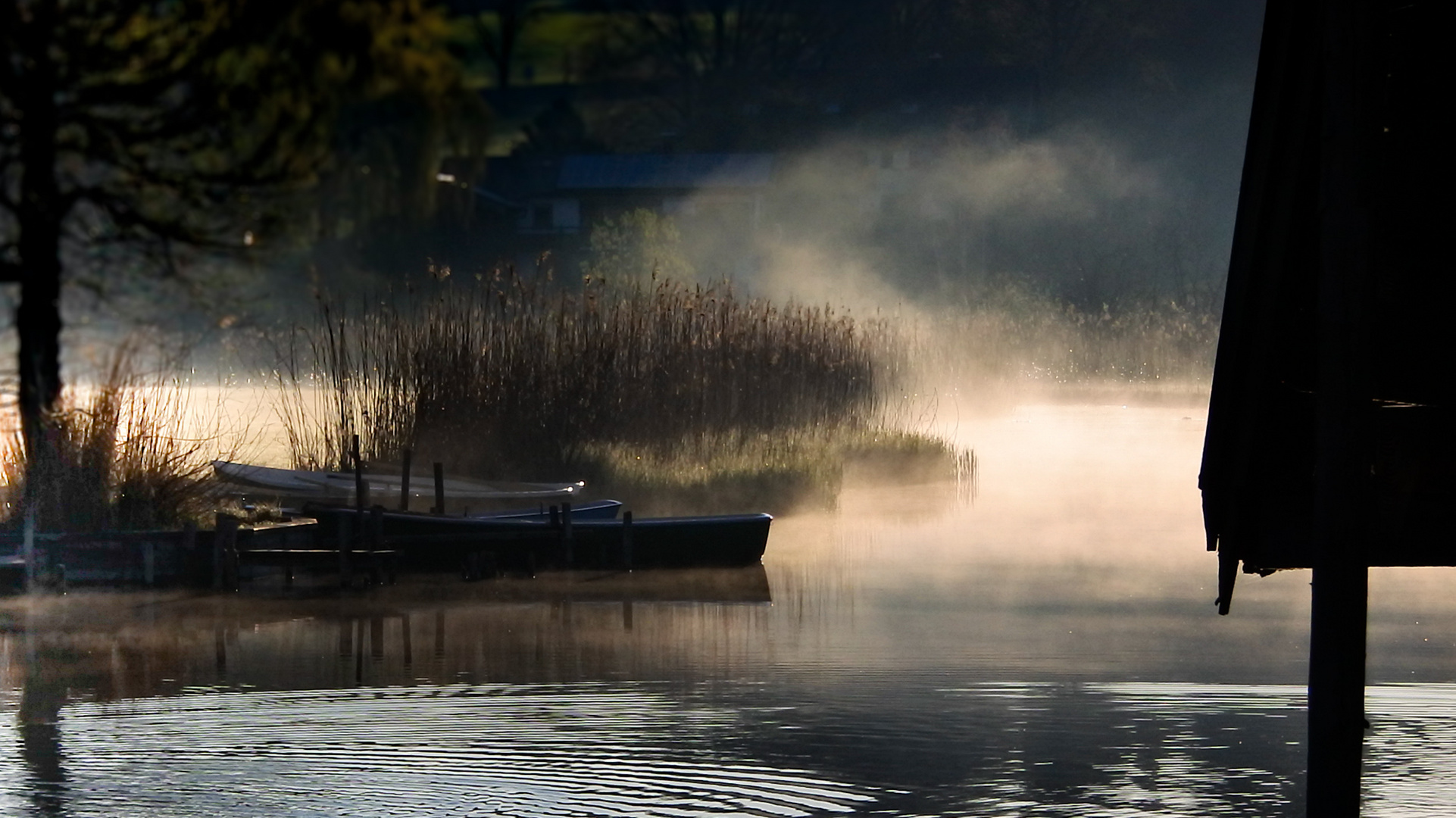 Staffelsee Morgennebel