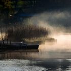 Staffelsee Morgennebel