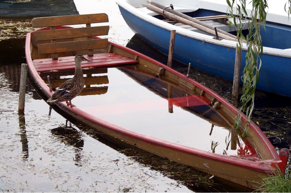 Staffelsee, wo ist denn.................