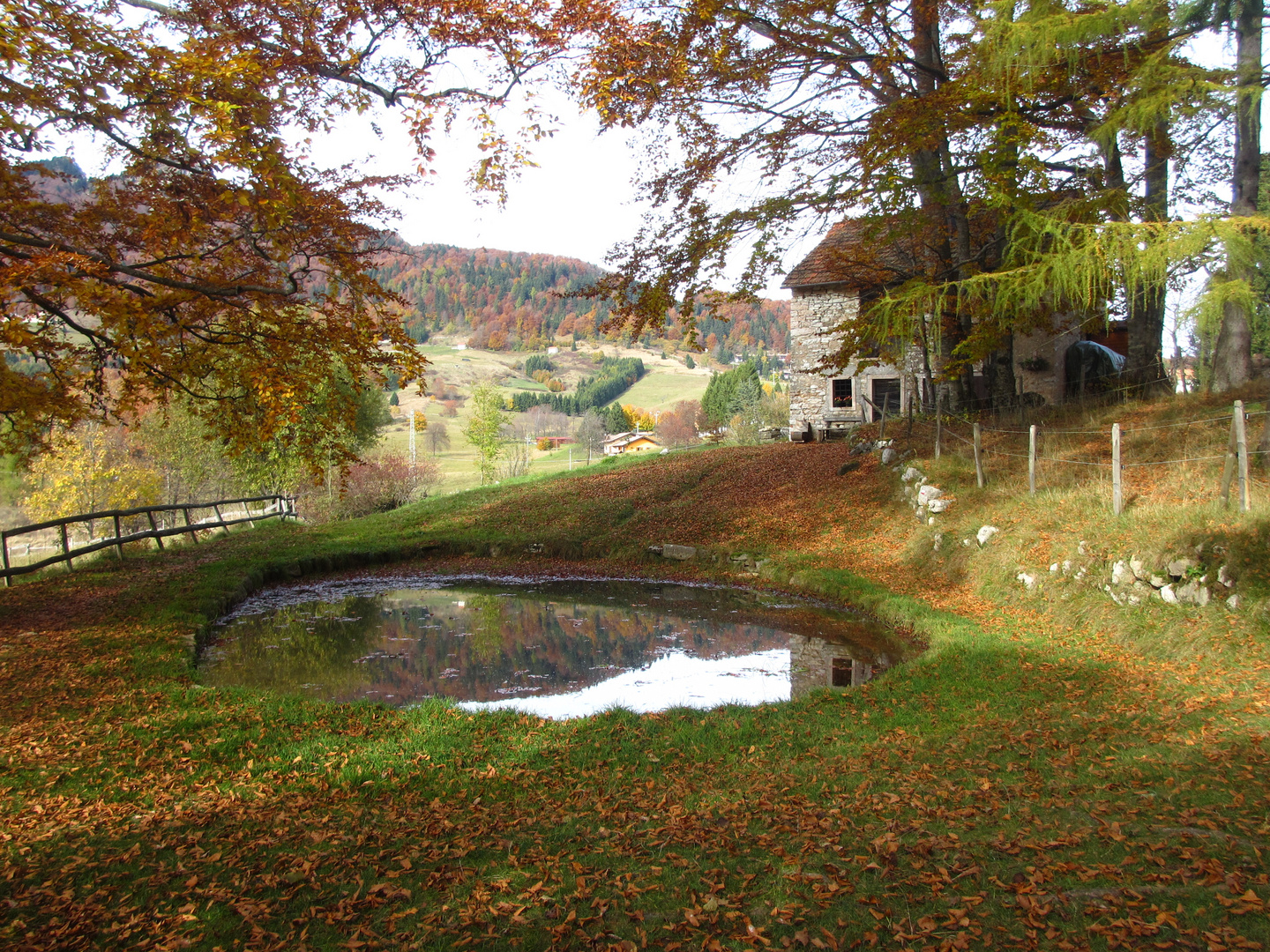 stagno  autunnale