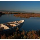 Stagno costiero di Porto Pino