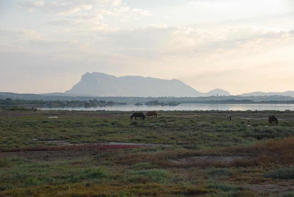 Stagno di San Teodoro