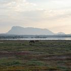 Stagno di San Teodoro