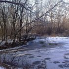 Stagno ghiacciato (Parco delle Groane)