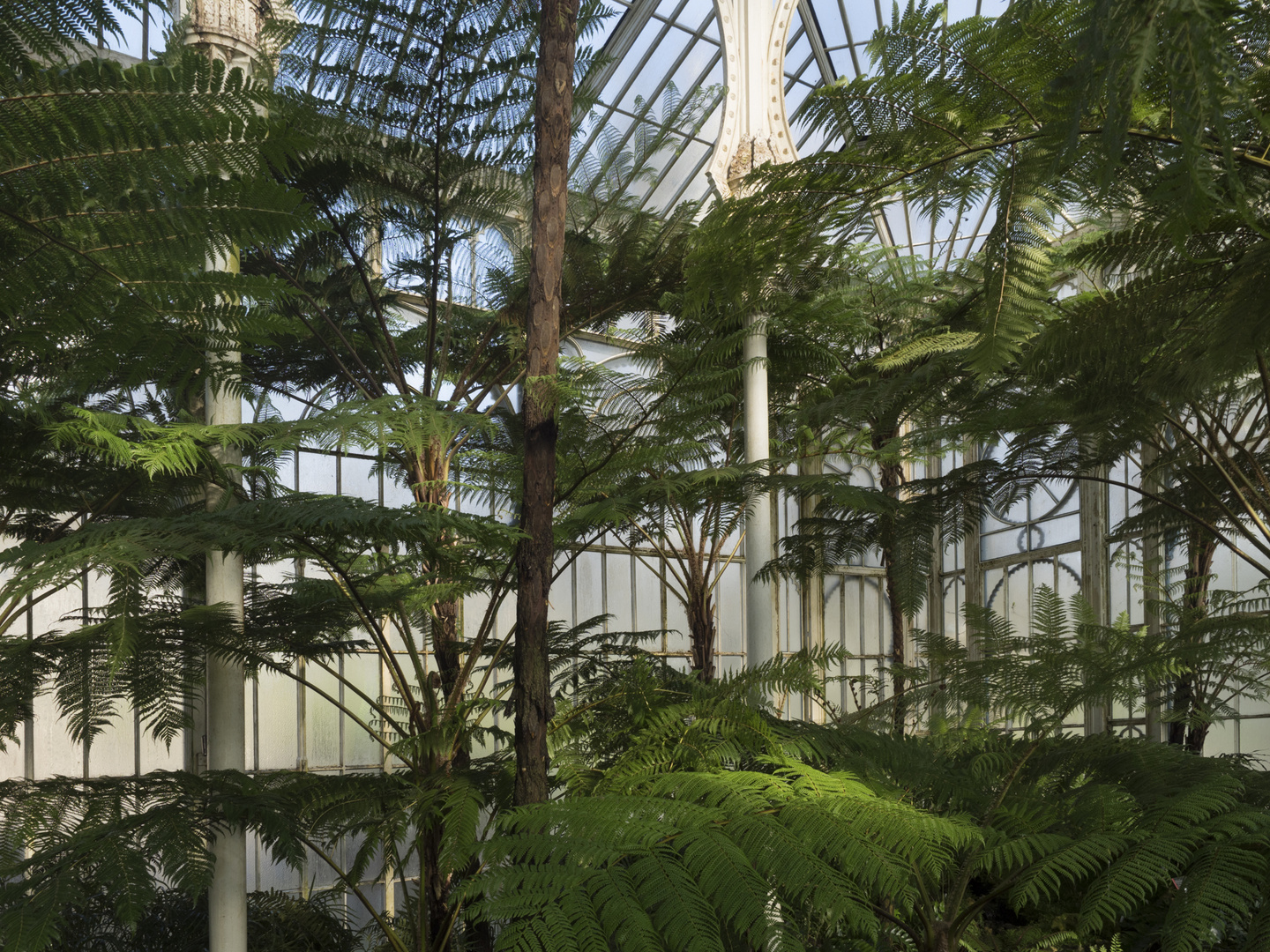 Stahl, Glas und Natur