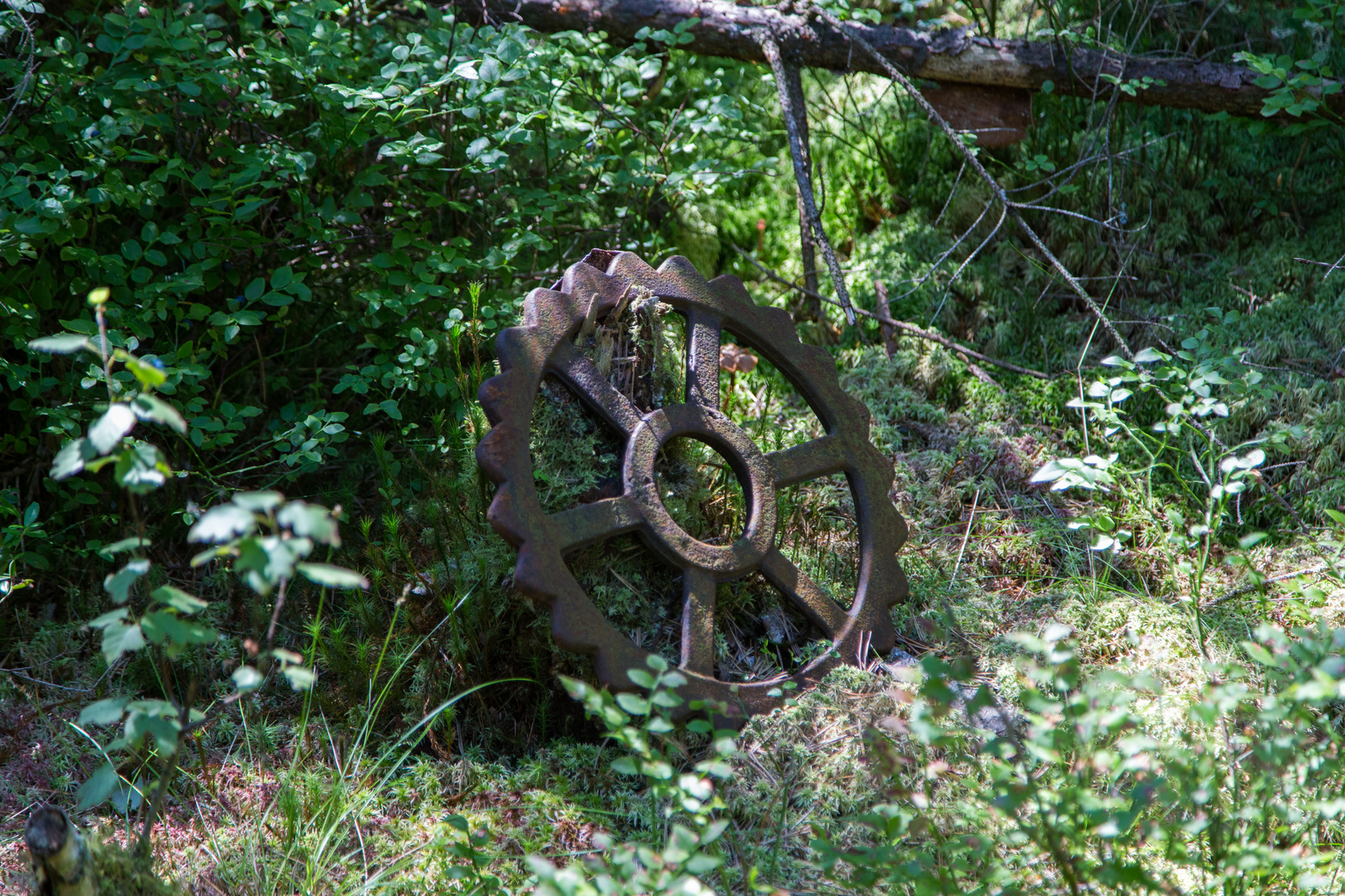 Stahl in der Natur