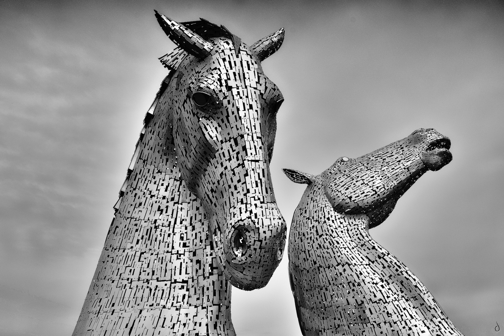 Stahl Wild   --   Riesen Kelpies   ©D4731---IP_BW-p-05