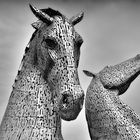 Stahl Wild   --   Riesen Kelpies   ©D4731---IP_BW-p-05