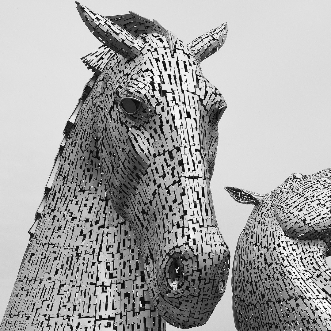 Stahl Wild --ZOOM-- GRAFIK The Kelpies |X|©D4731---IP_BW-SEP-ov.ex--X1333p