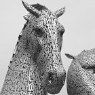 Stahl Wild --ZOOM-- GRAFIK The Kelpies |X|©D4731---IP_BW-SEP-ov.ex--X1333p