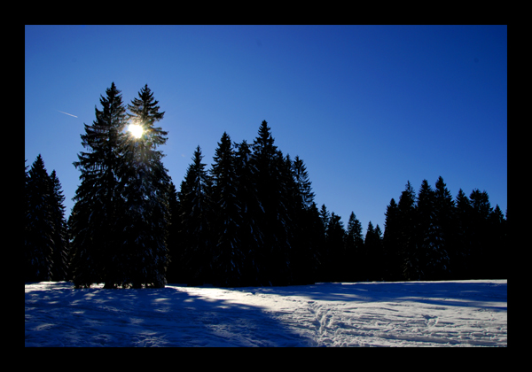 Stahlend blau