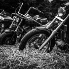 Stahlschweine im Stroh