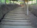 Stair case in Bandarban by Sharif Muhammad