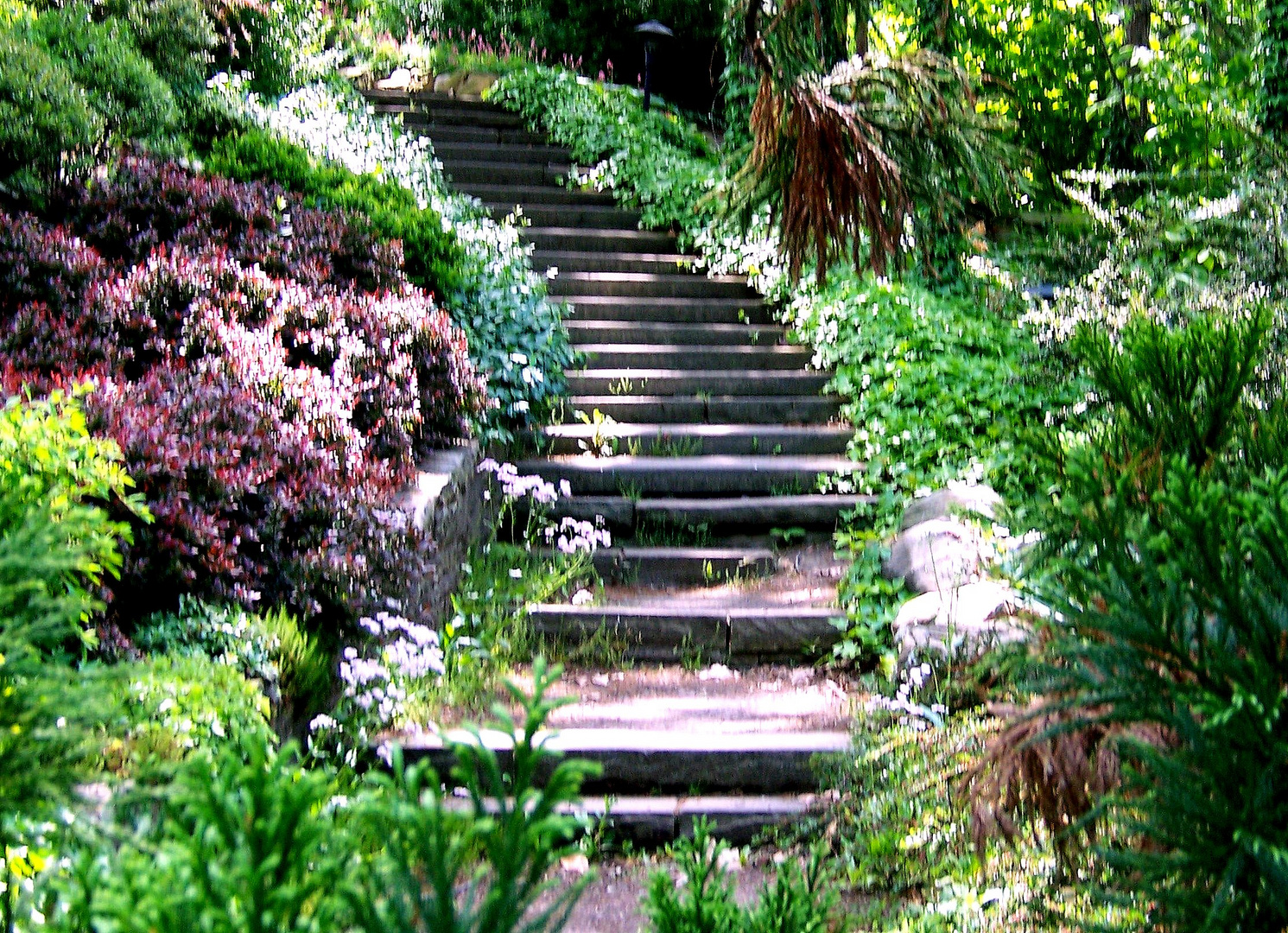 Stair Way To Paradise