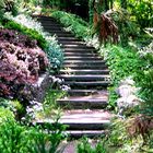 Stair Way To Paradise