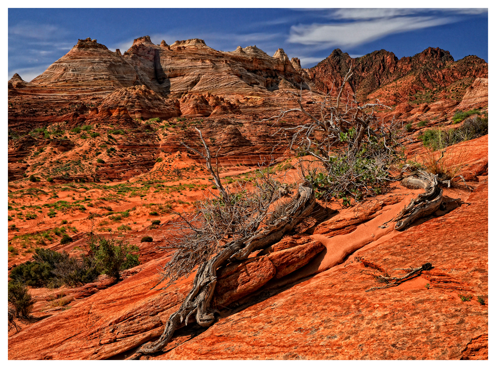 Staircase Escalante