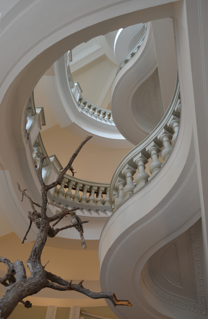 Staircase in Natural History Museum