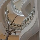 Staircase in Natural History Museum