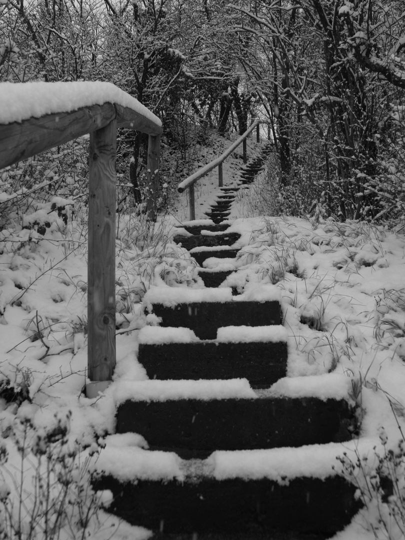 Stairs in the snow