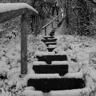 Stairs in the snow