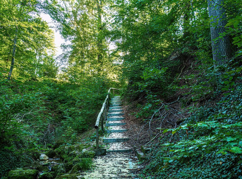 Stairs to paradise