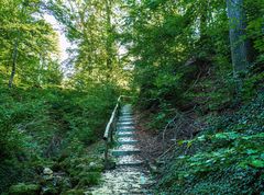 Stairs to paradise