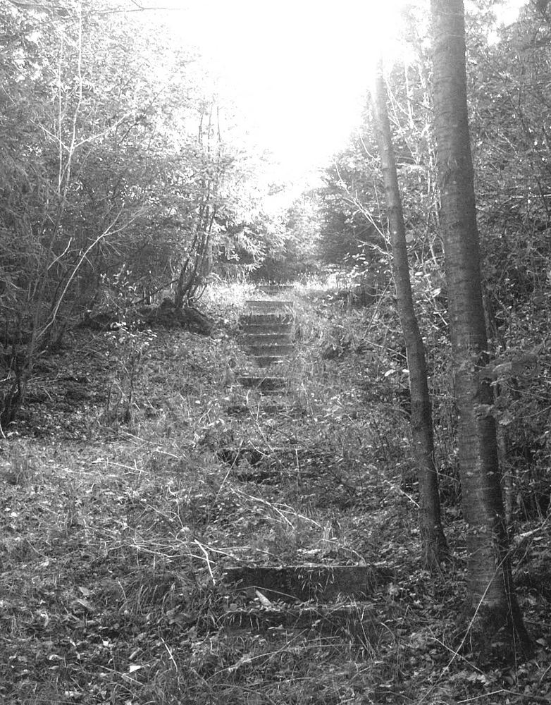 Stairway im Birkenfelder Wald