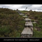 stairway to heaven