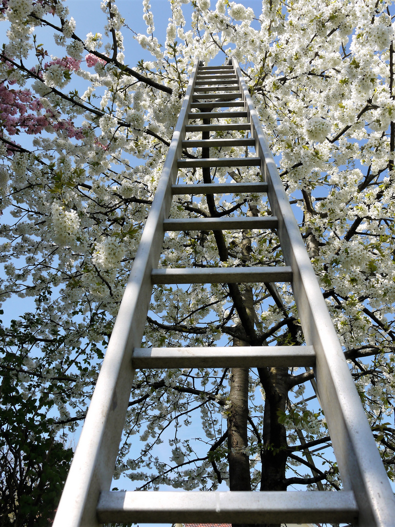 Stairway to heaven