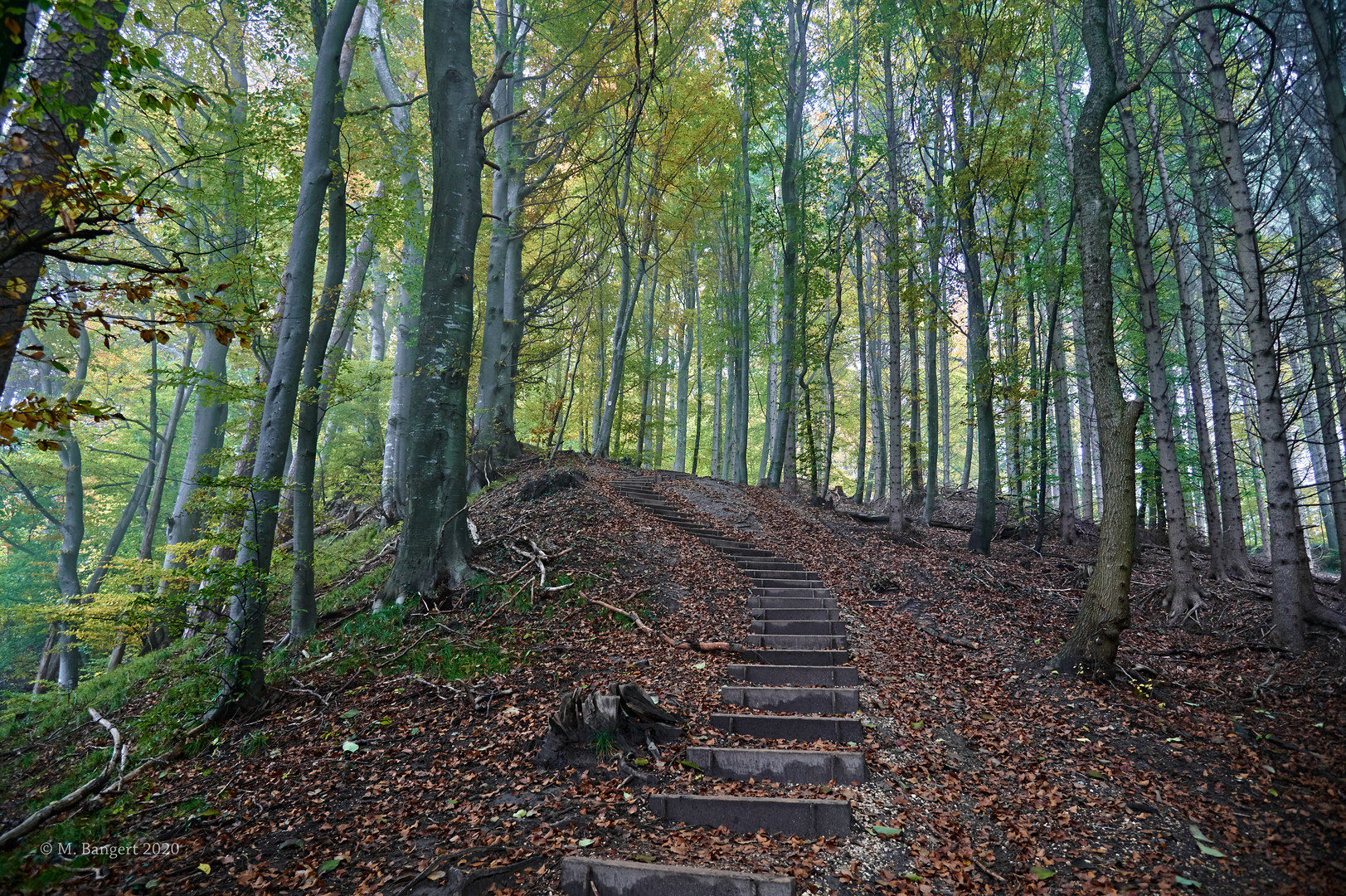 Stairway to heaven?